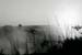 DSC_0019cinq
